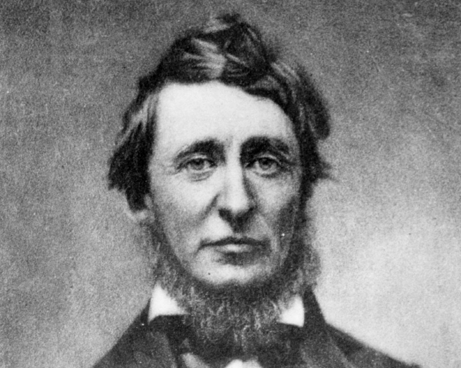 HENRY DAVID