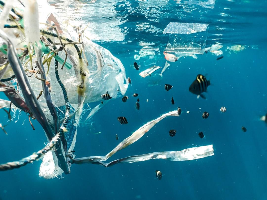 3. Use Less Plastic