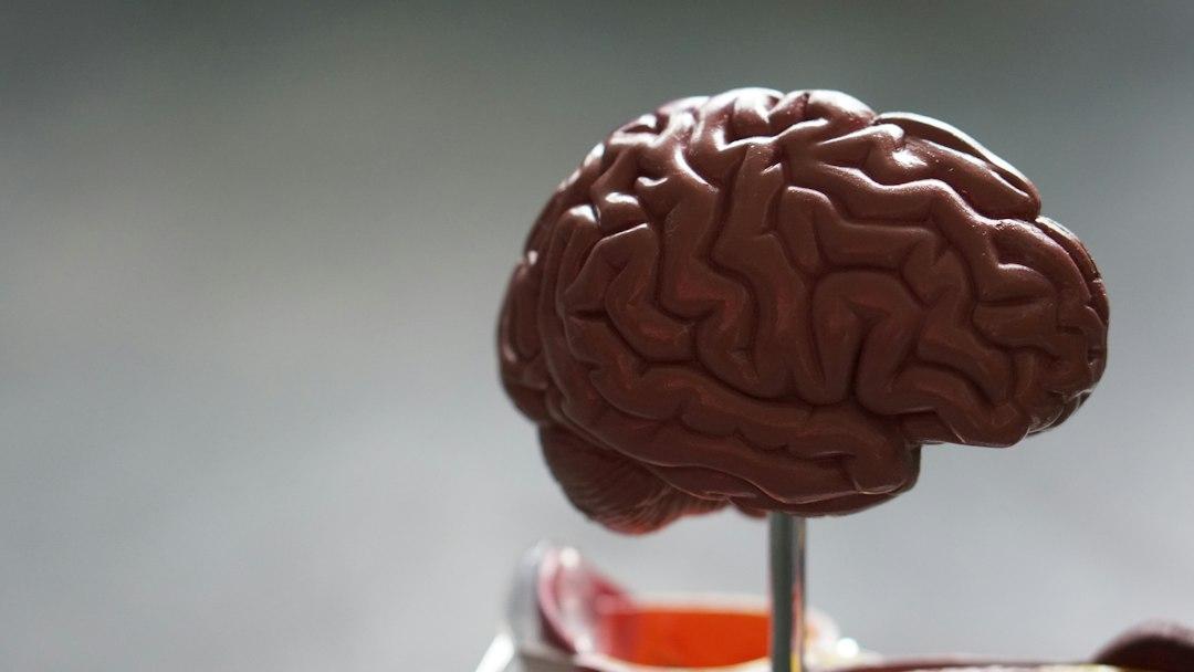 Overall Brain Health