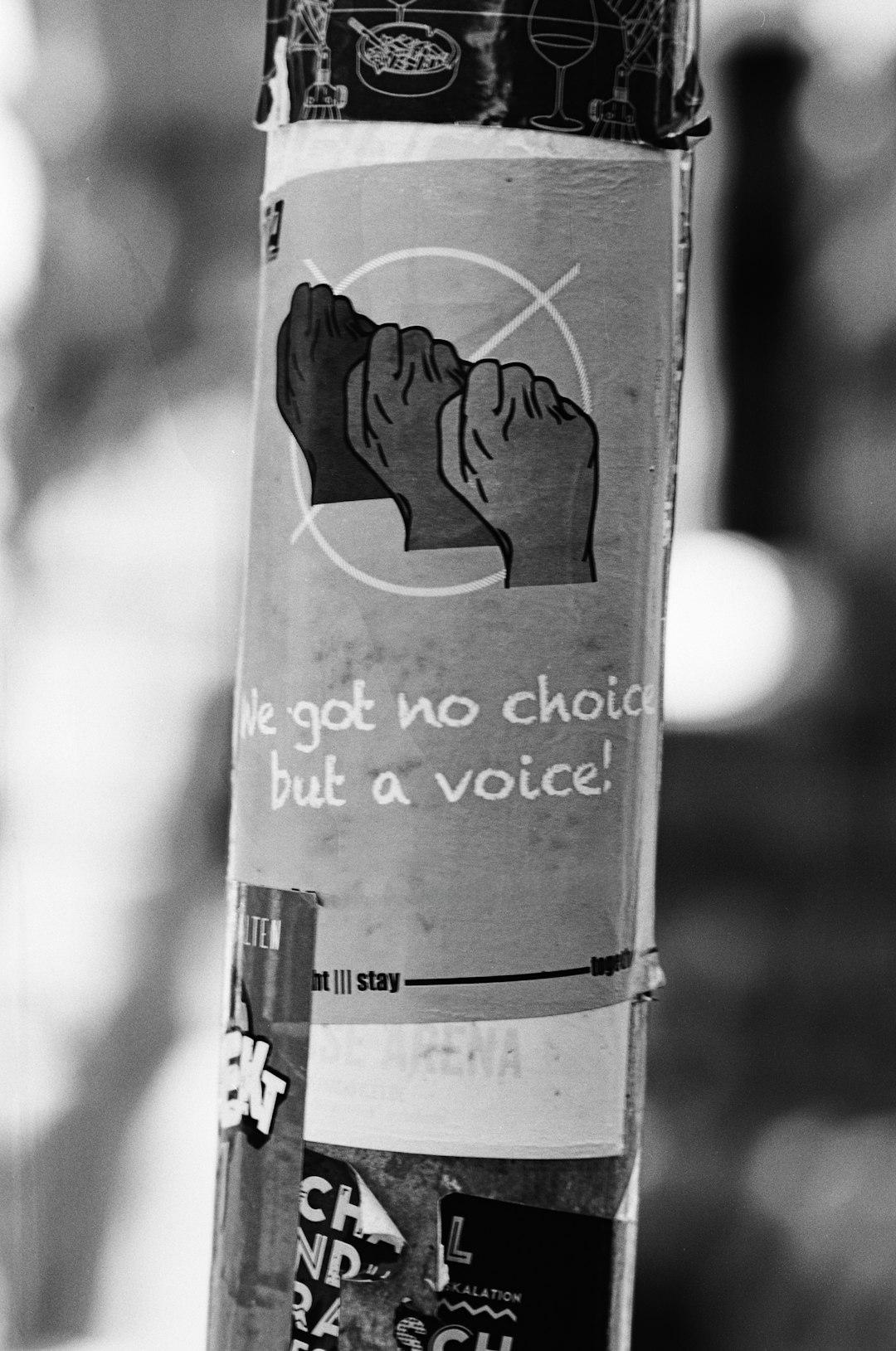 8. Your Voice is an Instrument of Influence