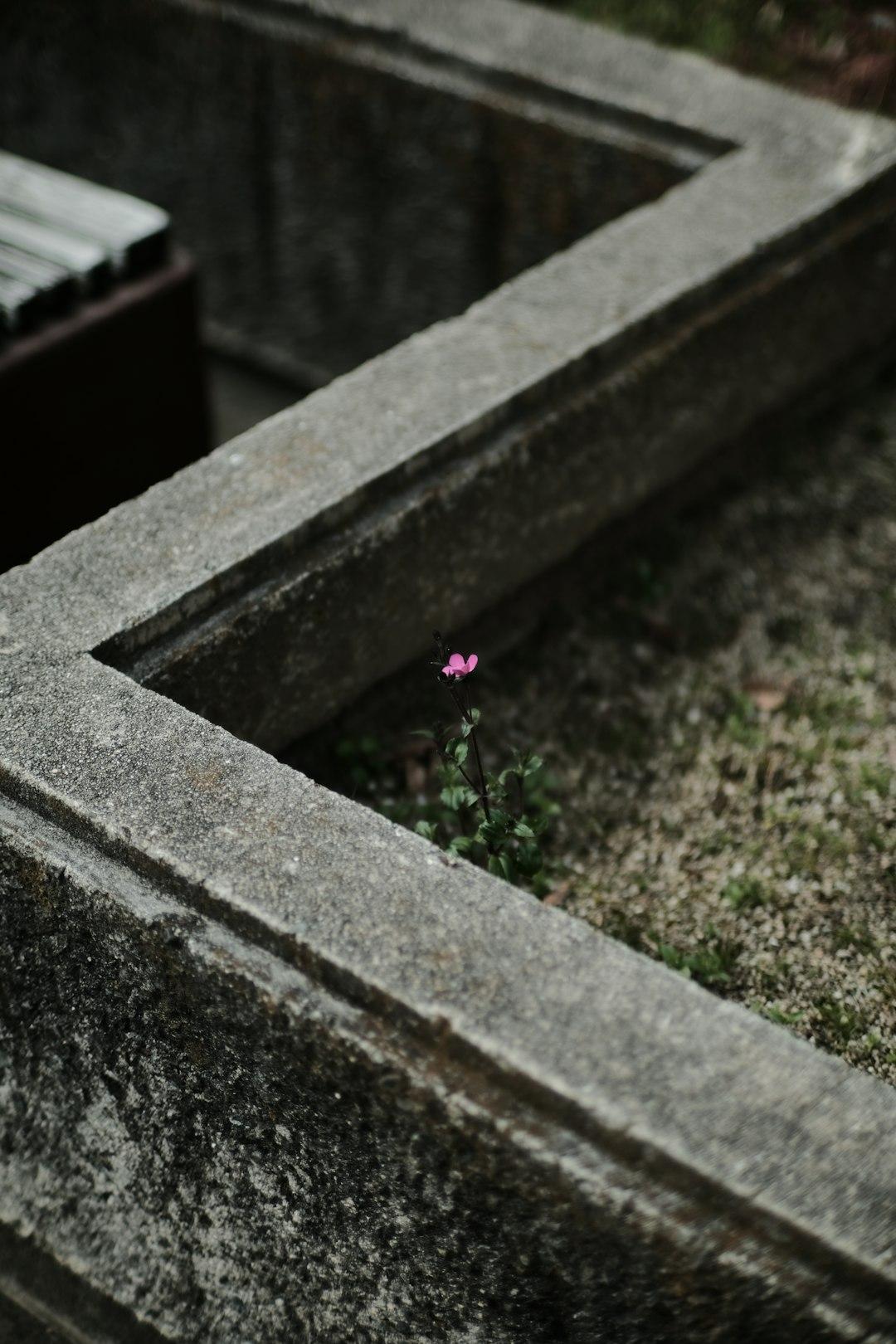Death Gives Life Meaning