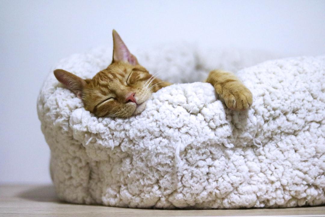 Let Your System Work While You Rest
